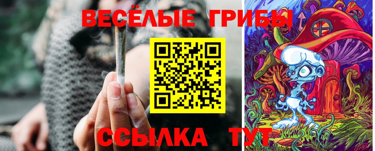 Каменск-Уральский  Галлюциногенные грибы ЛСД  Вход с VPN 